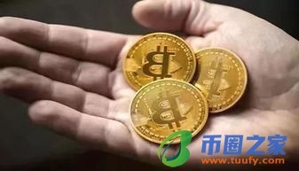 什么是中国比特币交易所