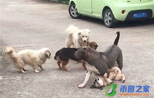 比特钞今日价格走势图