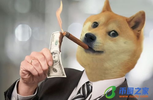 狗狗币 私钥有什么用