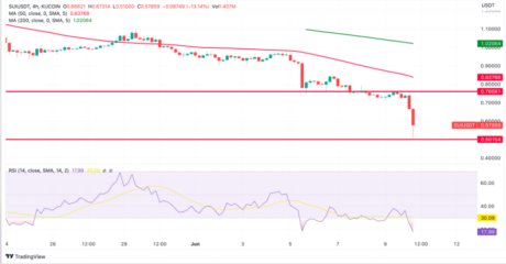 Sui 价格目前正处于下行轨道:来源@TradingView