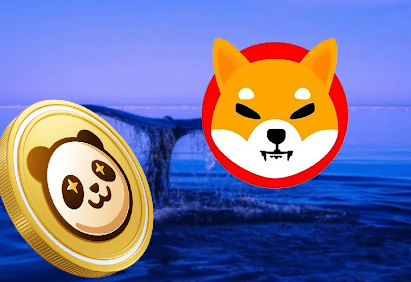 PAMBO成为SHIB成功的竞争者-第1张图片-欧意下载