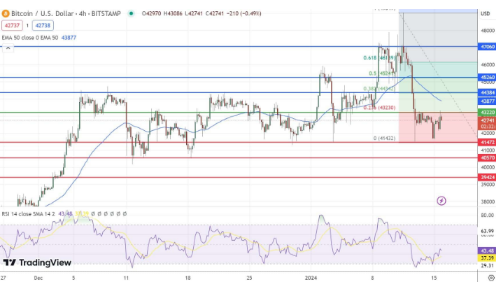 比特币1月价格预测贪婪指数下降-第2张图片-欧意下载