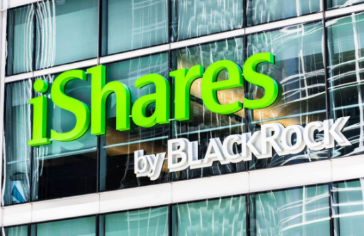 贝莱德新款比特币ETF强势亮相-第1张图片-欧意下载