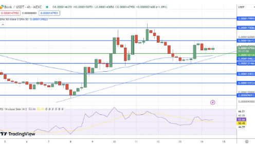 BONK价格反弹60%-第2张图片-欧意下载