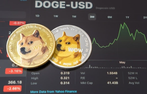 错过了2021年的狗狗币激增-第1张图片-欧意下载 错过了2021年的狗狗币激增-第1张图片-欧意下载