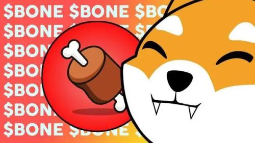 什么是Bone ShibaSwap(BONE)币-第1张图片-欧意下载