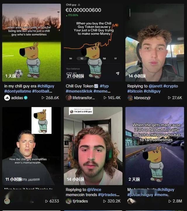 CHILLGUY币是什么 未来值得长期关注吗-第3张图片-欧意下载
