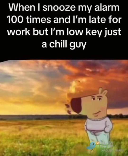 CHILLGUY币是什么 CHILLGUY币会是下一个狗狗币吗-第3张图片-欧意下载