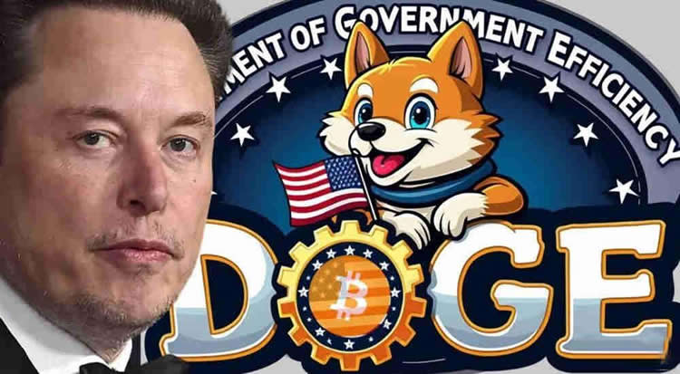 DOGE币是什么 Department of Government Efficiency能买吗-第1张图片-欧意下载