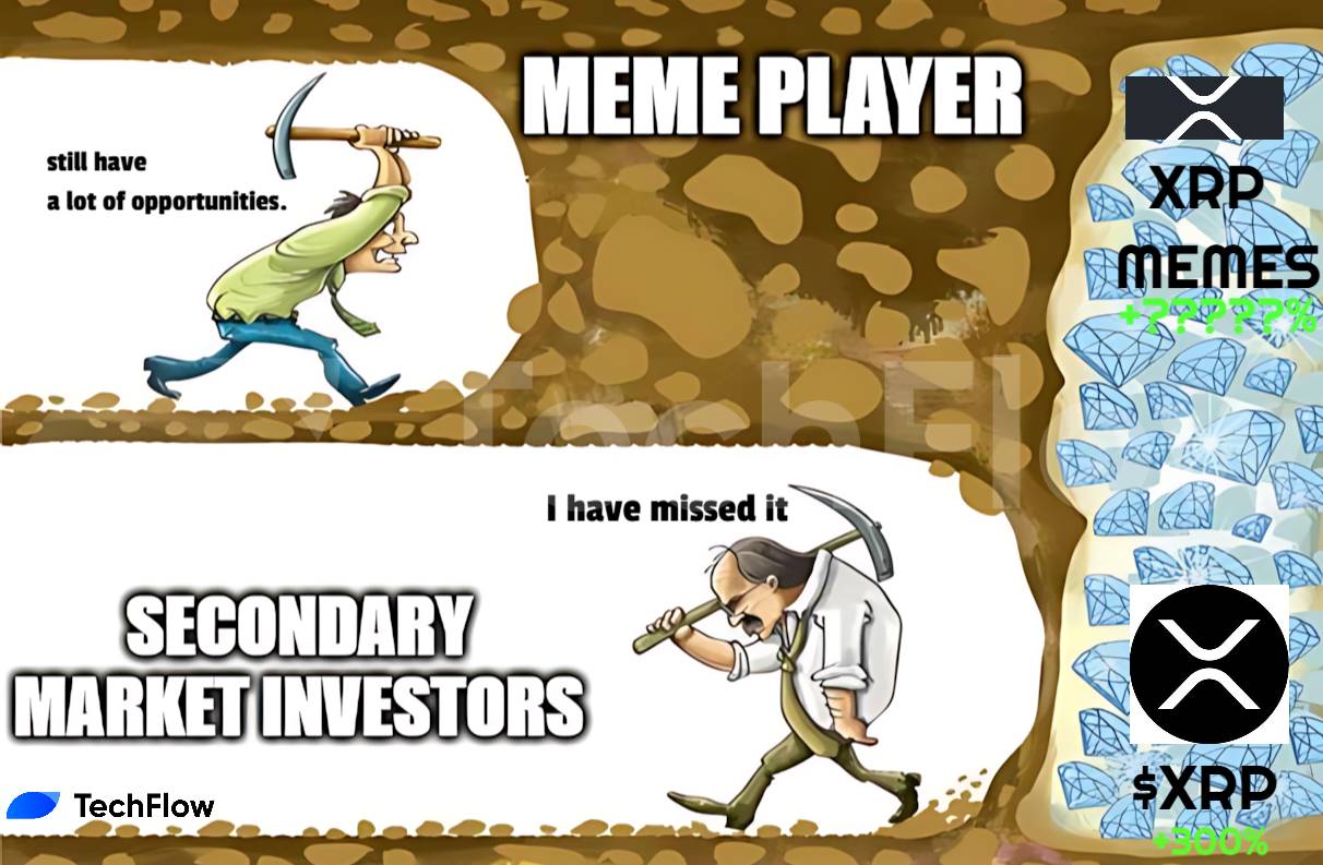 XRP涨幅惊人，瑞波生态内的热点Meme币更值得关注（附参与教程）-第1张图片-欧意下载