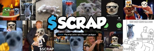XRP涨幅惊人，瑞波生态内的热点Meme币更值得关注（附参与教程）-第5张图片-欧意下载