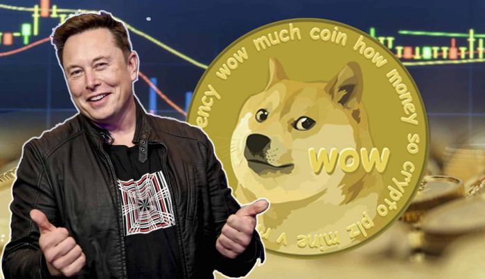 狗狗币值得投资吗 狗狗币2025年能到多少钱-第1张图片-欧意下载