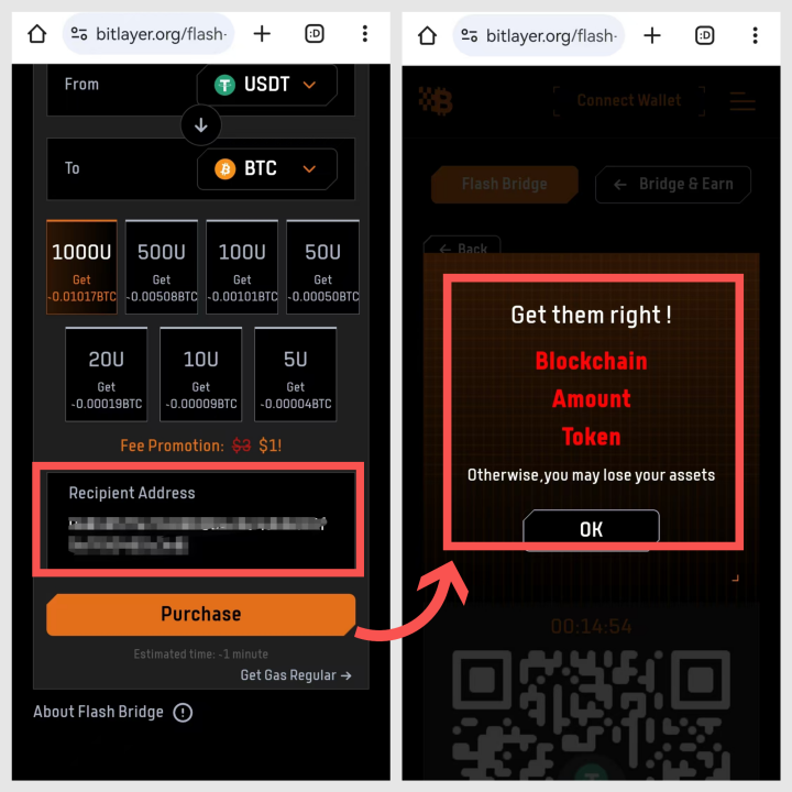 Bitlayer携手BIAN钱包启动BTCFI狂欢节，奖池达120万美元-第4张图片-欧意下载