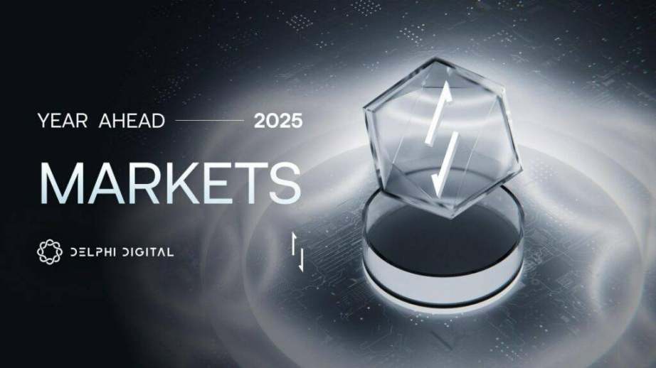 Delphi Digital 2025市场展望：乐观回归，Solana加速-第2张图片-欧意下载