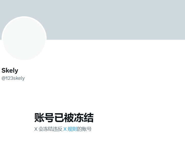 aiPool创始人Skely账号遭冻结-第1张图片-欧意下载